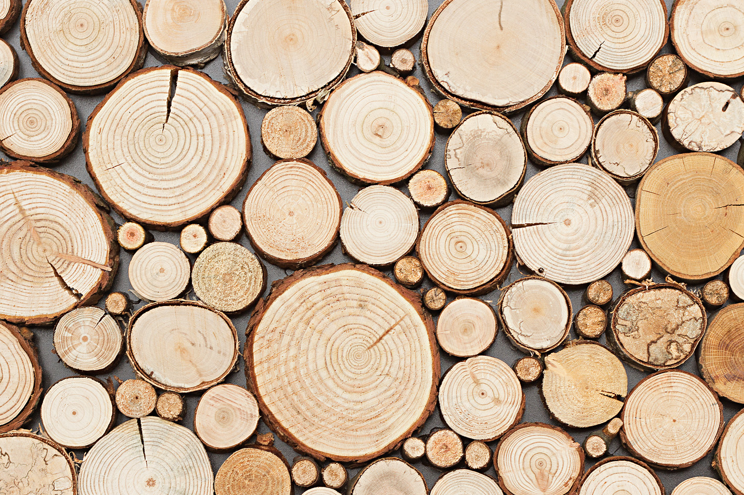 Gỗ tự nhiên là gì? So sánh các loại gỗ tự nhiên làm nội thất