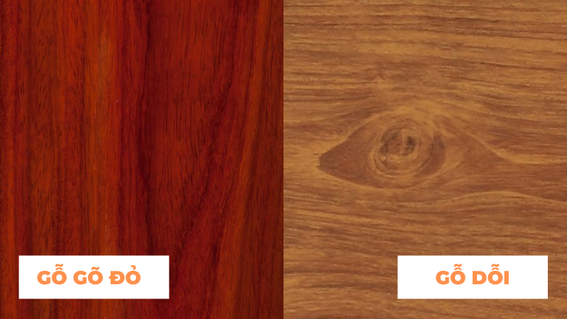 So sánh gỗ gõ đỏ và gỗ dổi – Đặc điểm và ứng dụng 