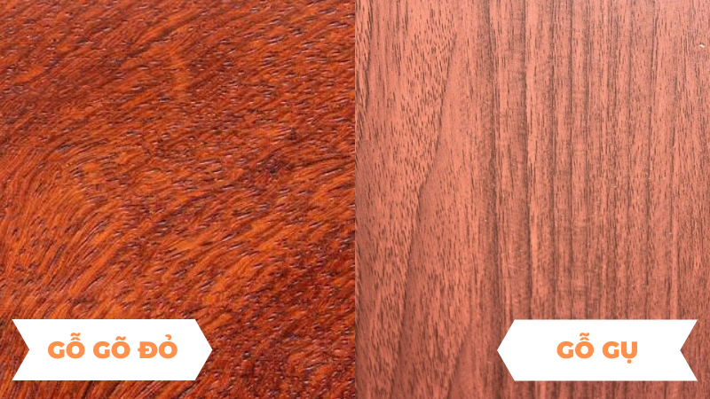 So sánh gỗ gõ đỏ và gỗ gụ tự nhiên làm sản phẩm nội thất