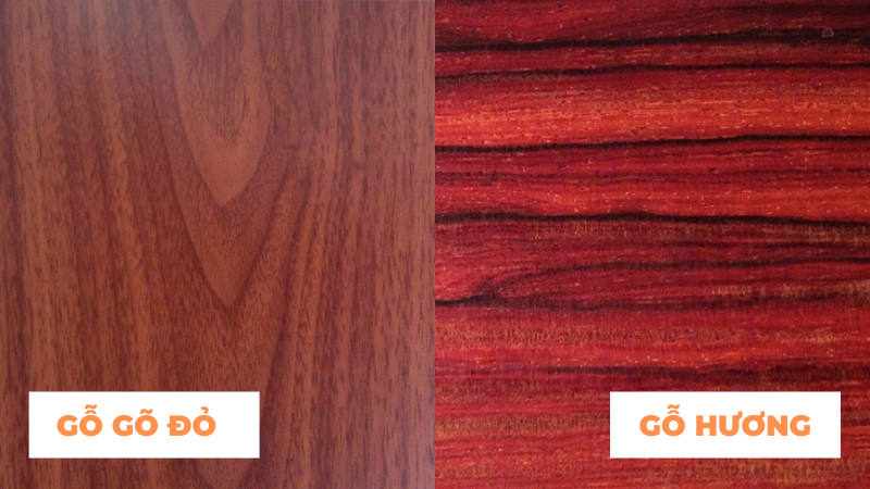 So sánh gỗ gõ đỏ và gỗ hương - Loại nào đẹp hơn?