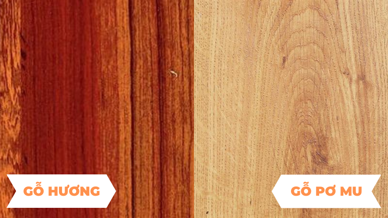 So sánh gỗ hương và gỗ pơ mu - Loại nào được ưa chuộng nhất hiện nay?