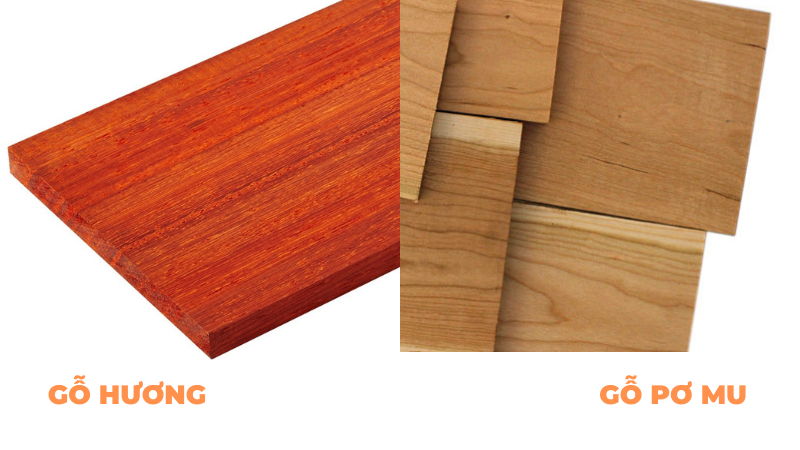 So sánh gỗ hương và gỗ pơ mu - Loại nào được ưa chuộng nhất hiện nay?