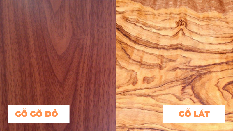 So sánh gỗ lát và gỗ gõ đỏ - Những thông tin hữu ích bạn nên biết