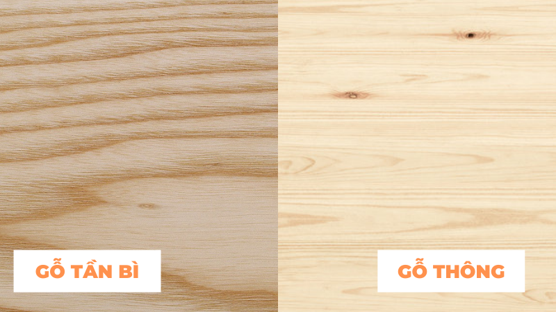 So sánh gỗ tần bì và gỗ thông – Ứng dụng của hai loại gỗ này trong nội thất