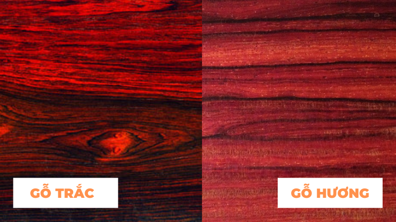 So sánh gỗ trắc và gỗ hương – Hai loại gỗ khác nhau như thế nào?