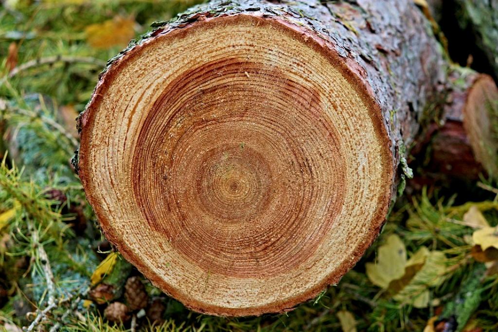 So sánh gỗ tự nhiên và gỗ công nghiệp sản xuất nội thất